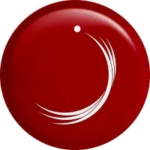 zayed_university_logo